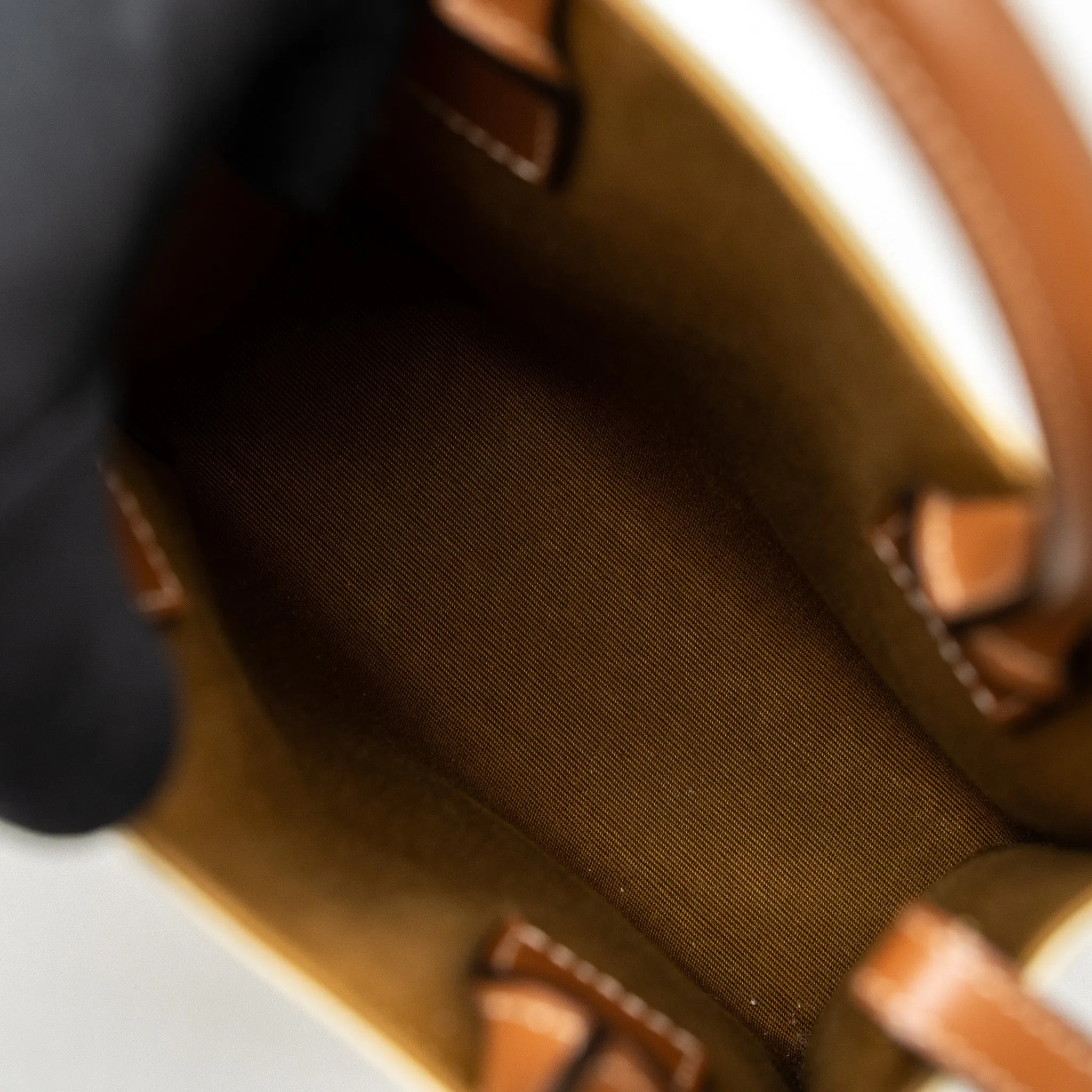 Celine Mini Vertical Caban Triomphe Canvas/Calfskin GHW