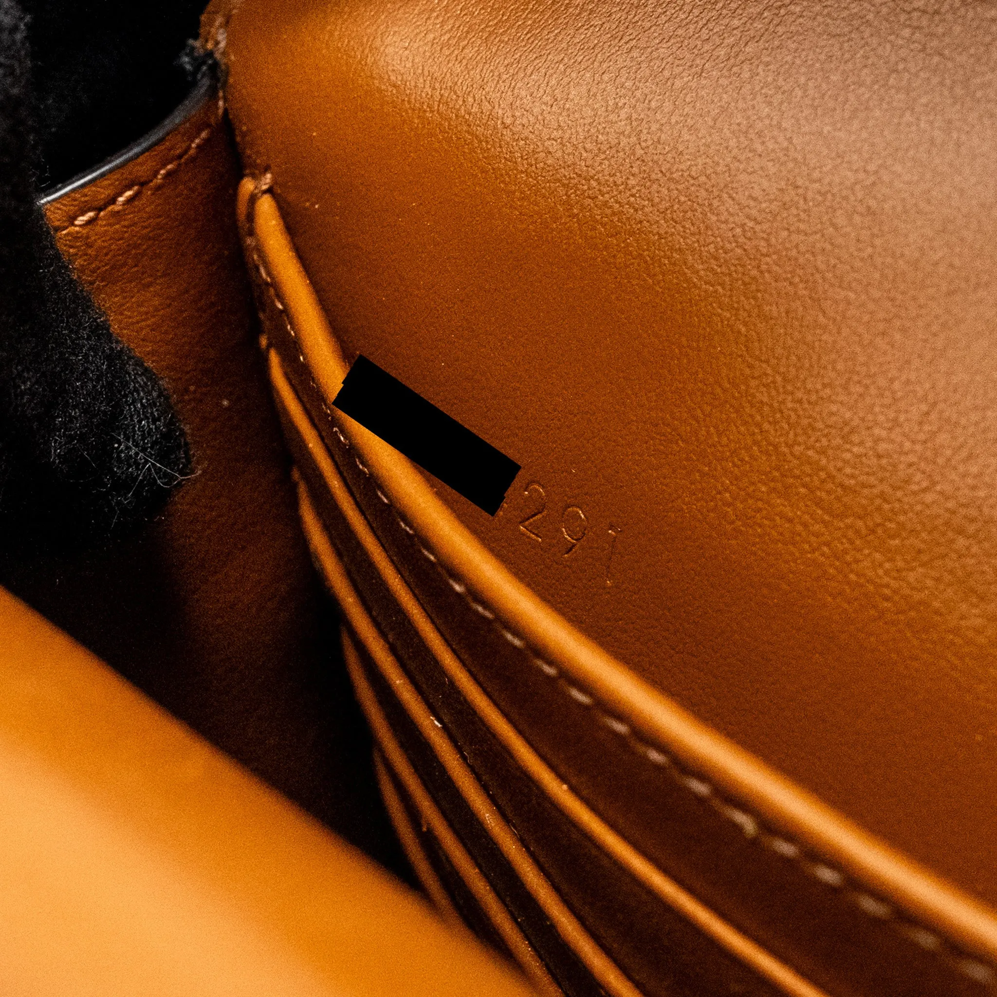 Celine Wallet On Strap Triomphe Canvas /Smooth Lambskin Tan GHW
