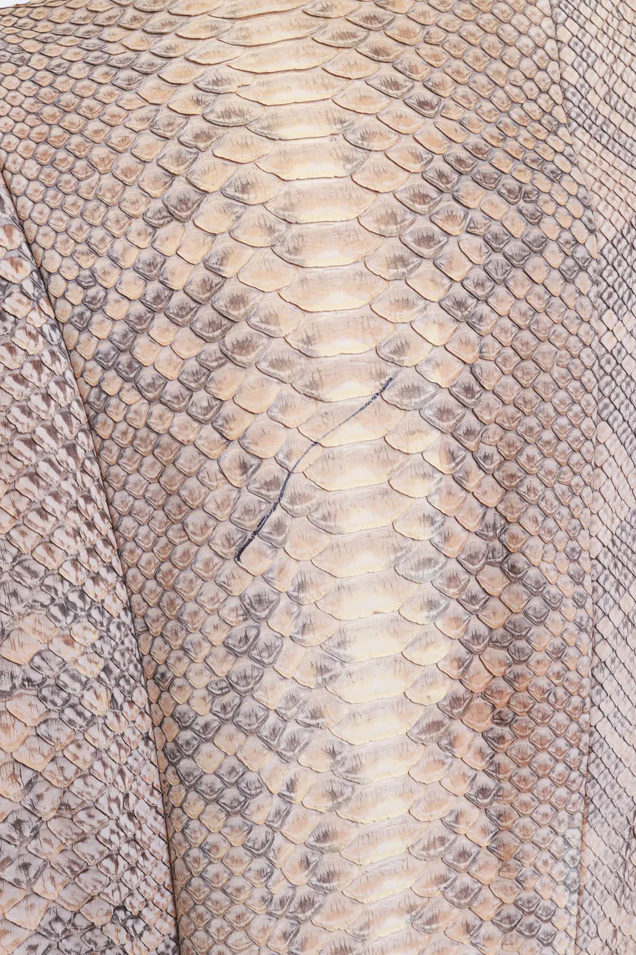 Collarless Python Jacket