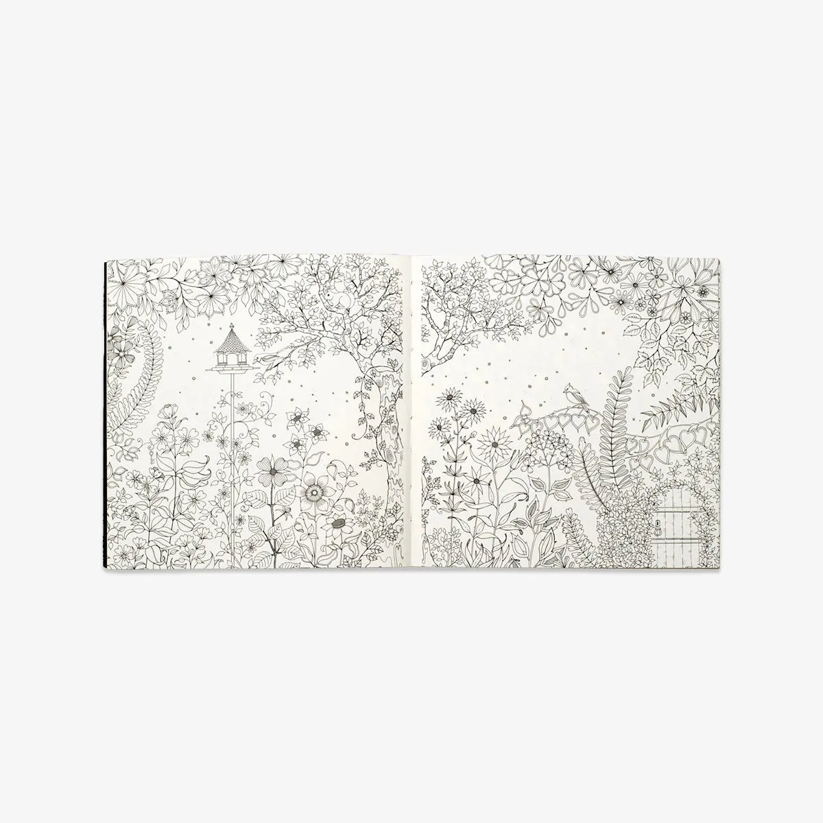 COLOURING BOOK // MINIATURE SECRET GARDEN