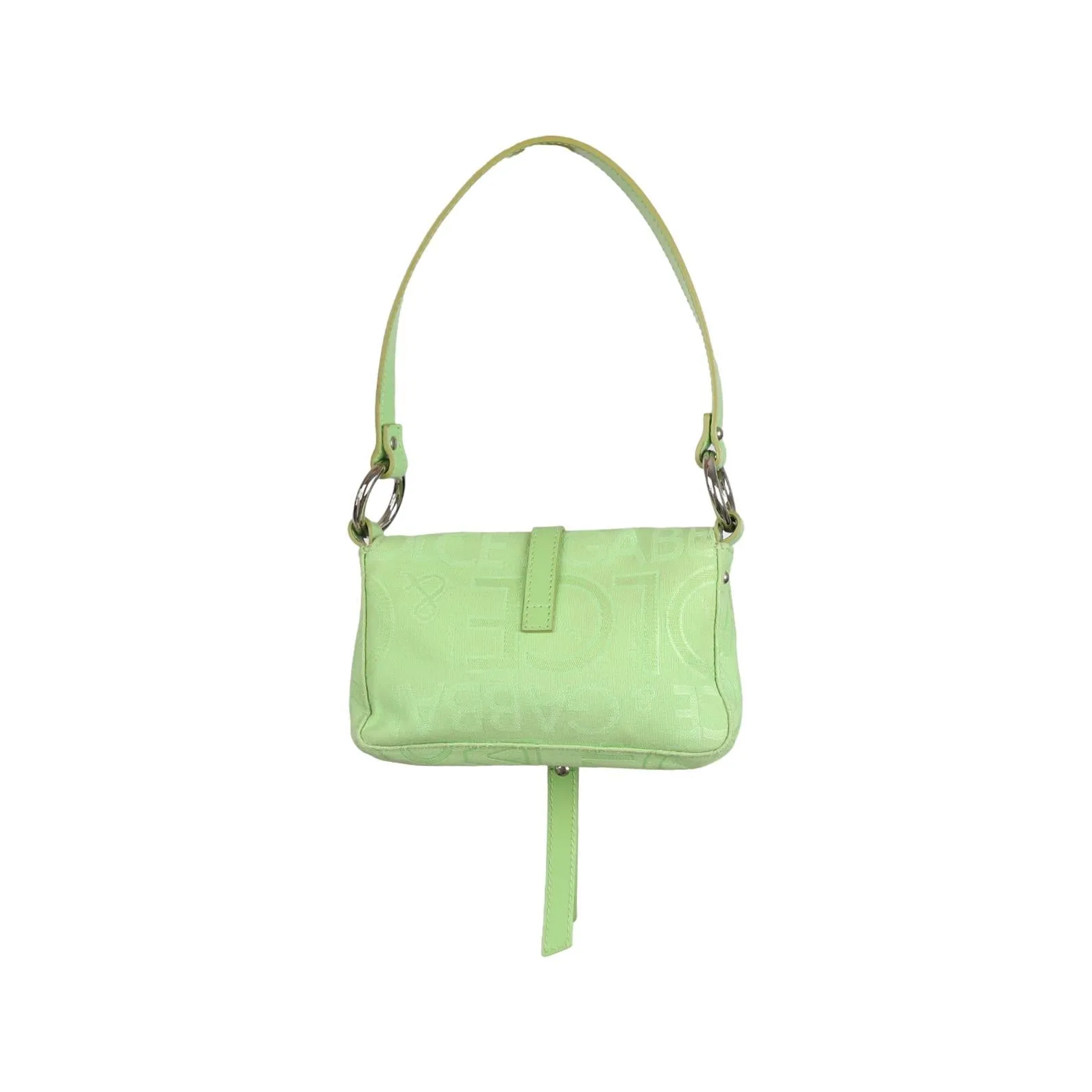 Dolce & Gabbana Green Mini Shoulder Bag