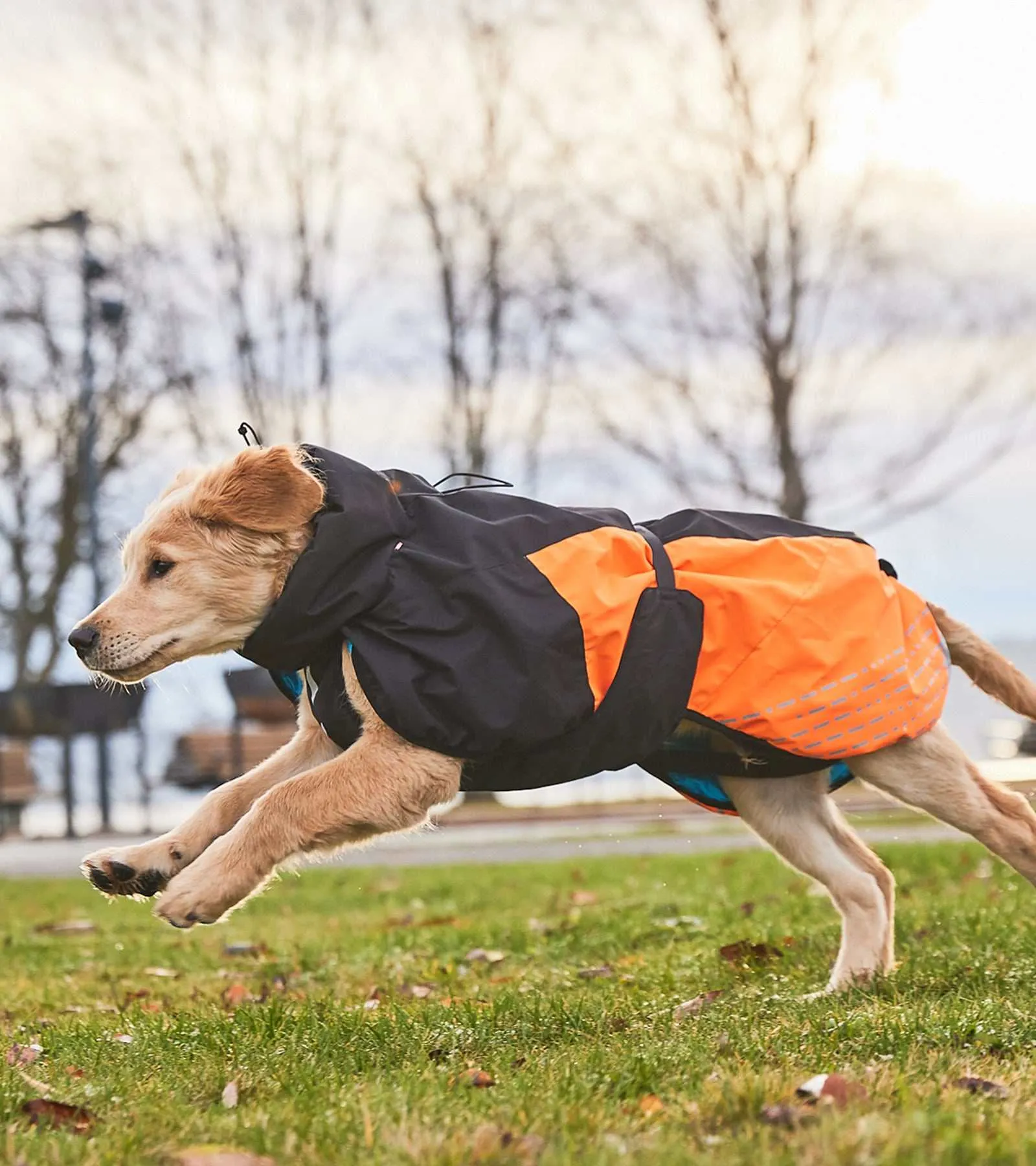 Glacier Jacket 2.0