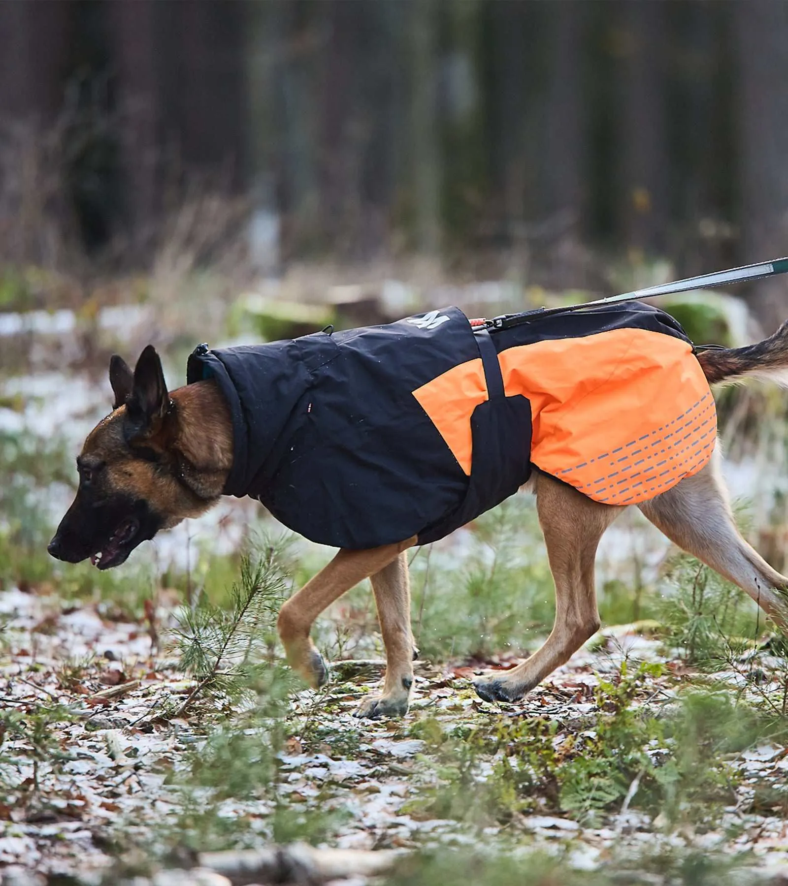 Glacier Jacket 2.0