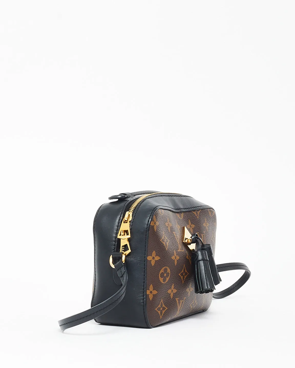 Louis Vuitton Monogram Coated Canvas & Leather Saintonge Camera Bag