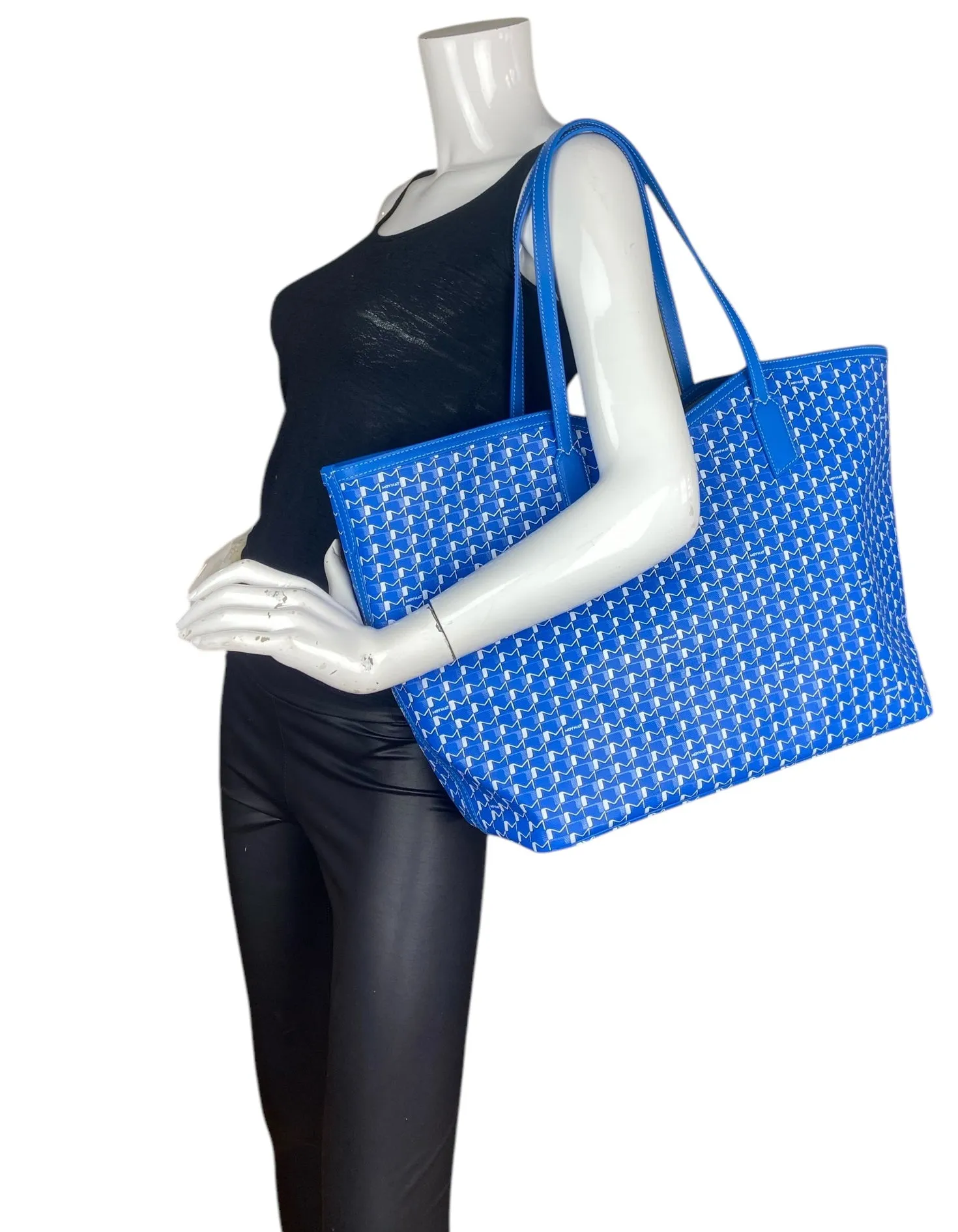 Moynat Blue M GM Tote Bag