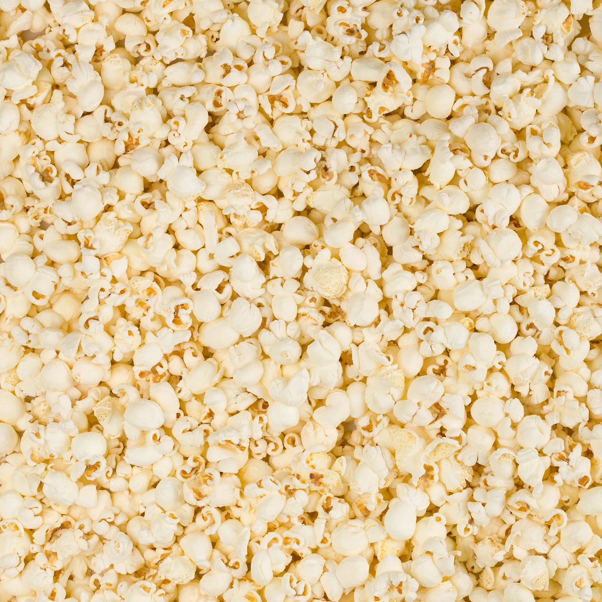 Small Popcorn Paper Party Bags (Pack of 100/1000)