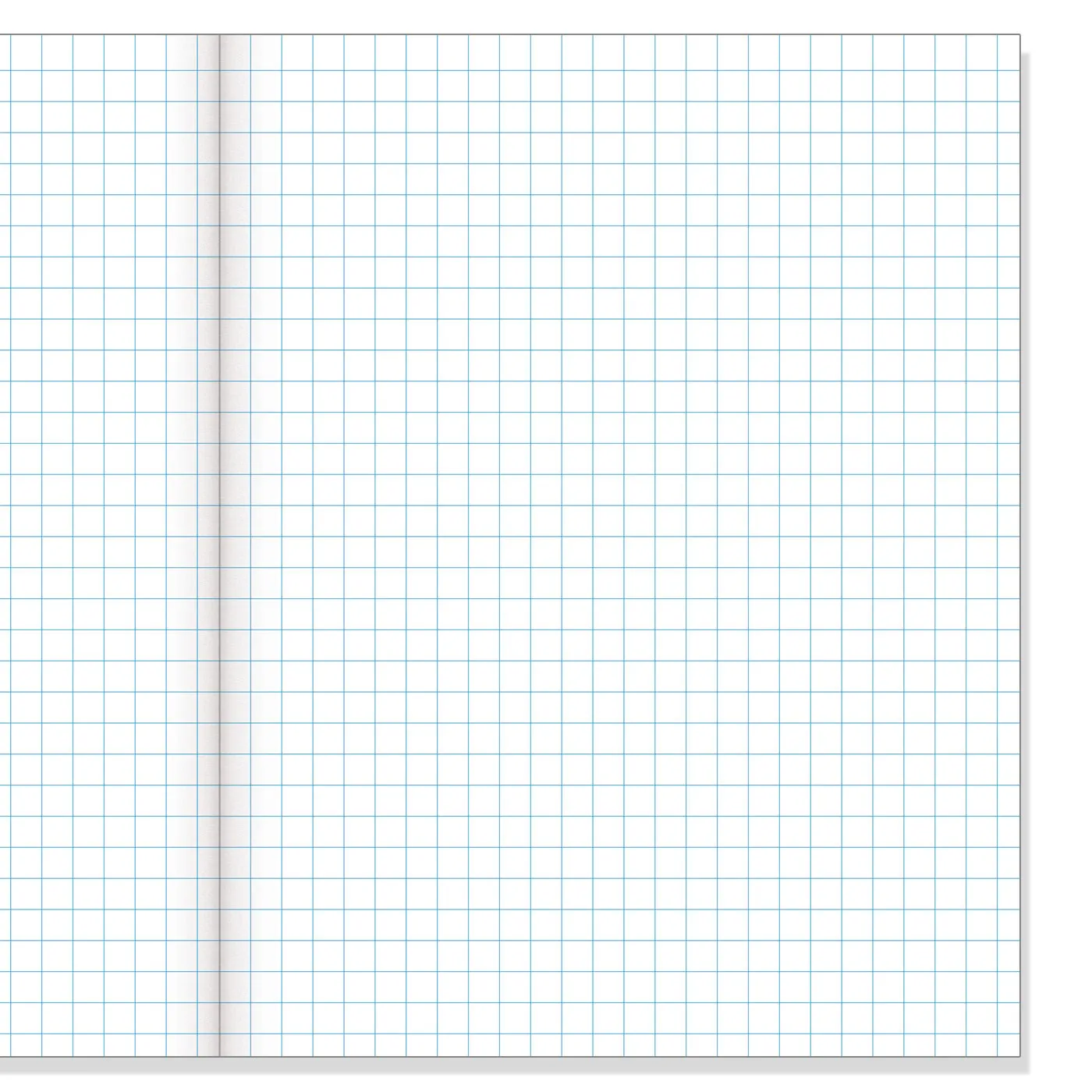 Warwick 1E4 Exercise Book 7 mm Quad Maths 28 Leaves